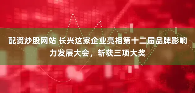 配资炒股网站 长兴这家企业亮相第十二届品牌影响力发展大会，斩获三项大奖